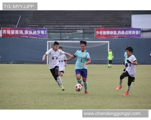 冬训足球的魅力与挑战如何提升球队实力与凝聚力