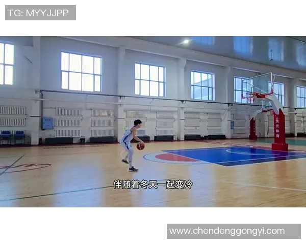 从零基础到篮球高手的全面技术提升指南与实战技巧分享