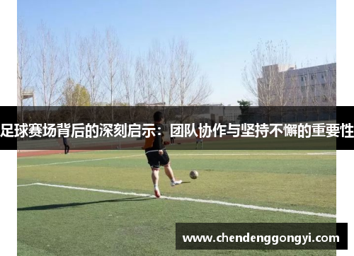 足球赛场背后的深刻启示：团队协作与坚持不懈的重要性