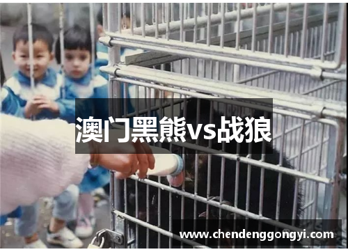 澳门黑熊vs战狼